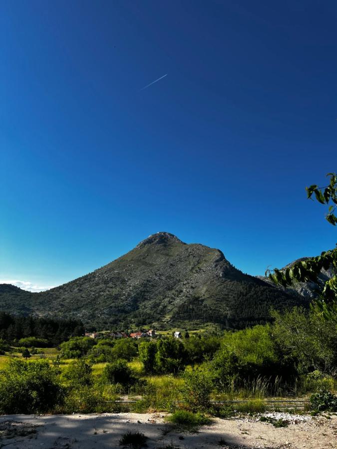 Glamping Lovcen Villa Njegusi Buitenkant foto